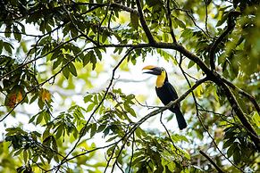 Laguna Lodge Tortuguero