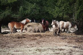 Penzion Farma U Mauritzů