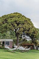 Fun & Sun Family Club Saphire