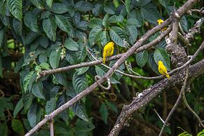 Hotel Eclipse Villavicencio