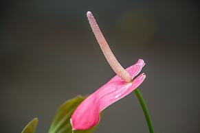 Hotel Eclipse Villavicencio