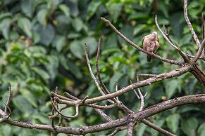 Hotel Eclipse Villavicencio