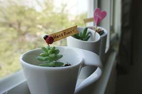 Green Hotel - Fengjia