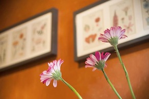 Residence Breydelhof