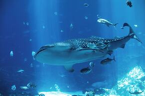 Hotel Indigo Atlanta Downtown by IHG