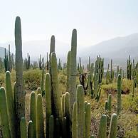 CR Tehuacan