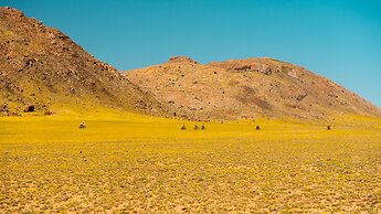 Klein-Aus Vista Desert Horse Inn