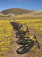 Klein-Aus Vista Desert Horse Inn