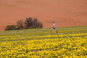 Klein-Aus Vista Desert Horse Inn