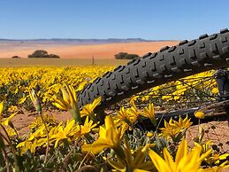 Klein-Aus Vista Desert Horse Inn