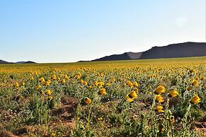 Klein-Aus Vista Desert Horse Inn