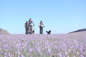 Klein-Aus Vista Desert Horse Campsite