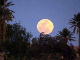 La Vallée des Dunes