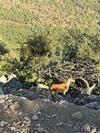 Naturella Apart Hotel