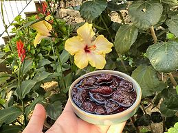 Naturella Apart Hotel