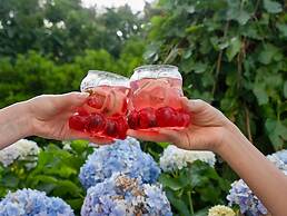 Naturella Apart Hotel