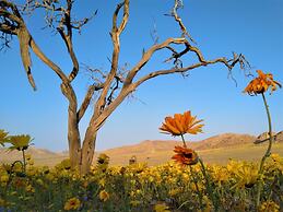 Klein-Aus Vista Eagle´s Nest chalets