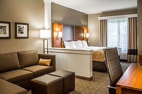 Comfort Suites Hartville - North Canton