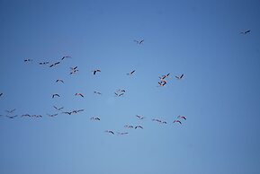 Golden Sands Apartments by Sol Resorts