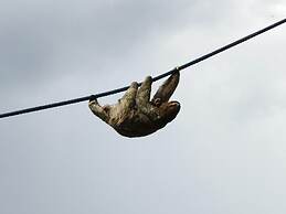 Jungle Beach Hotel Manuel Antonio