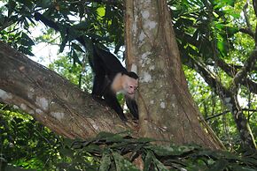 Jungle Beach Hotel Manuel Antonio