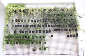 Ocean Suites Boutique Hotel