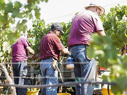 Wine Relais Feudi del Pisciotto