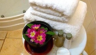 Hostal B&B Concepción