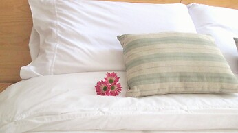 Cedar Cats Short Stay Apartments - Adults Only