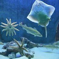 Auberge Resto le Parasol