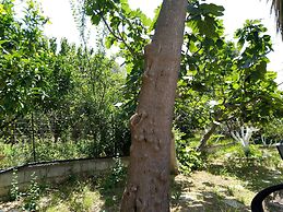 AMARANTHOS SKIATHOS VIEW