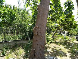 AMARANTHOS SKIATHOS VIEW