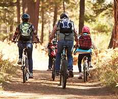 Chalets Royal Laurentien