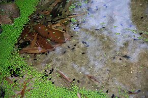 Smart Hotel Reserva Camburi