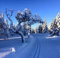 Sonfjällsgården Wärdshus & Hotell