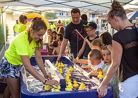 Domaine du Clos des Oliviers