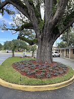 Castillo Inn