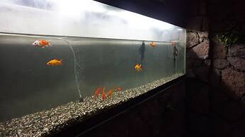 Halina Hotel Avenida