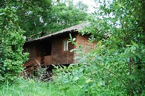 Tiger N Woods Resort