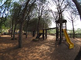 Agriturismo il Drago