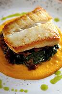 JW Marriott Minneapolis Mall of America