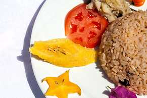 Village Bungalows Chez Honore