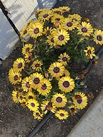 American Inn Grover Beach