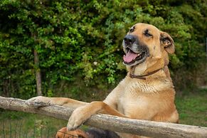 Country House Villa Nigro