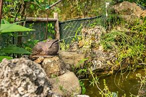 Country House Villa Nigro