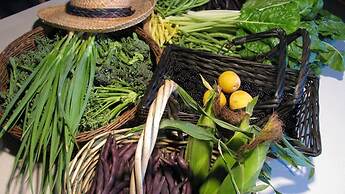 Sasquatch Crossing Eco Lodge B&B