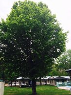 Perry's Motel and Cottages