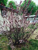 Perry's Motel and Cottages