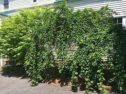 Perry's Motel and Cottages