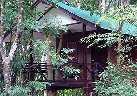 Khao Sok Tree House